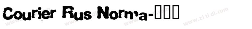 Courier Rus Norma字体转换